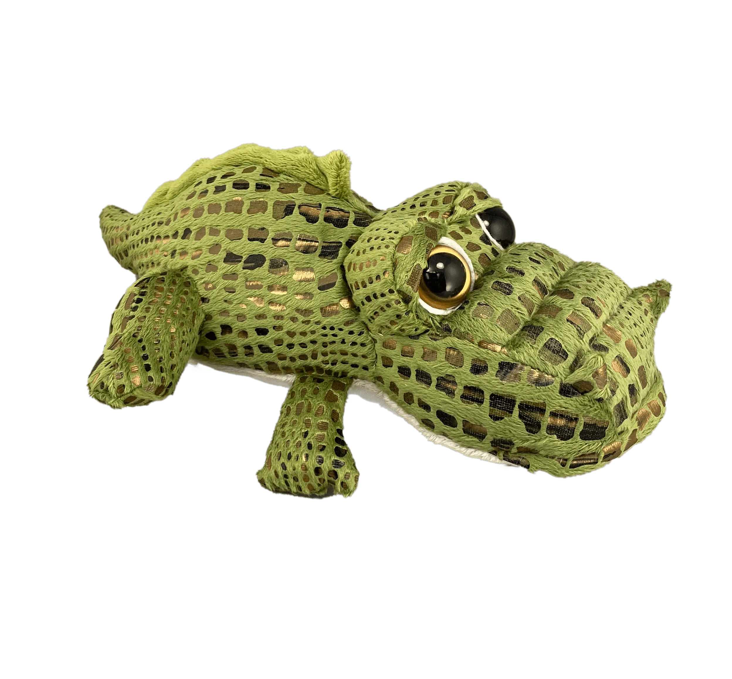 Boxy, the Bright Eye Gator