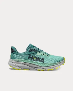 Challenger 7 Mist Green / Trellis Running Shoes