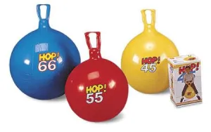 DELUXE GYMNIC BALLS