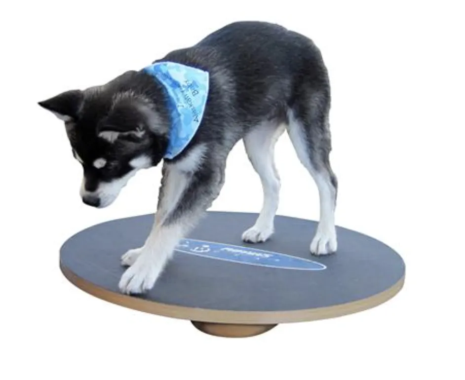 FitPAWS Wobble Board