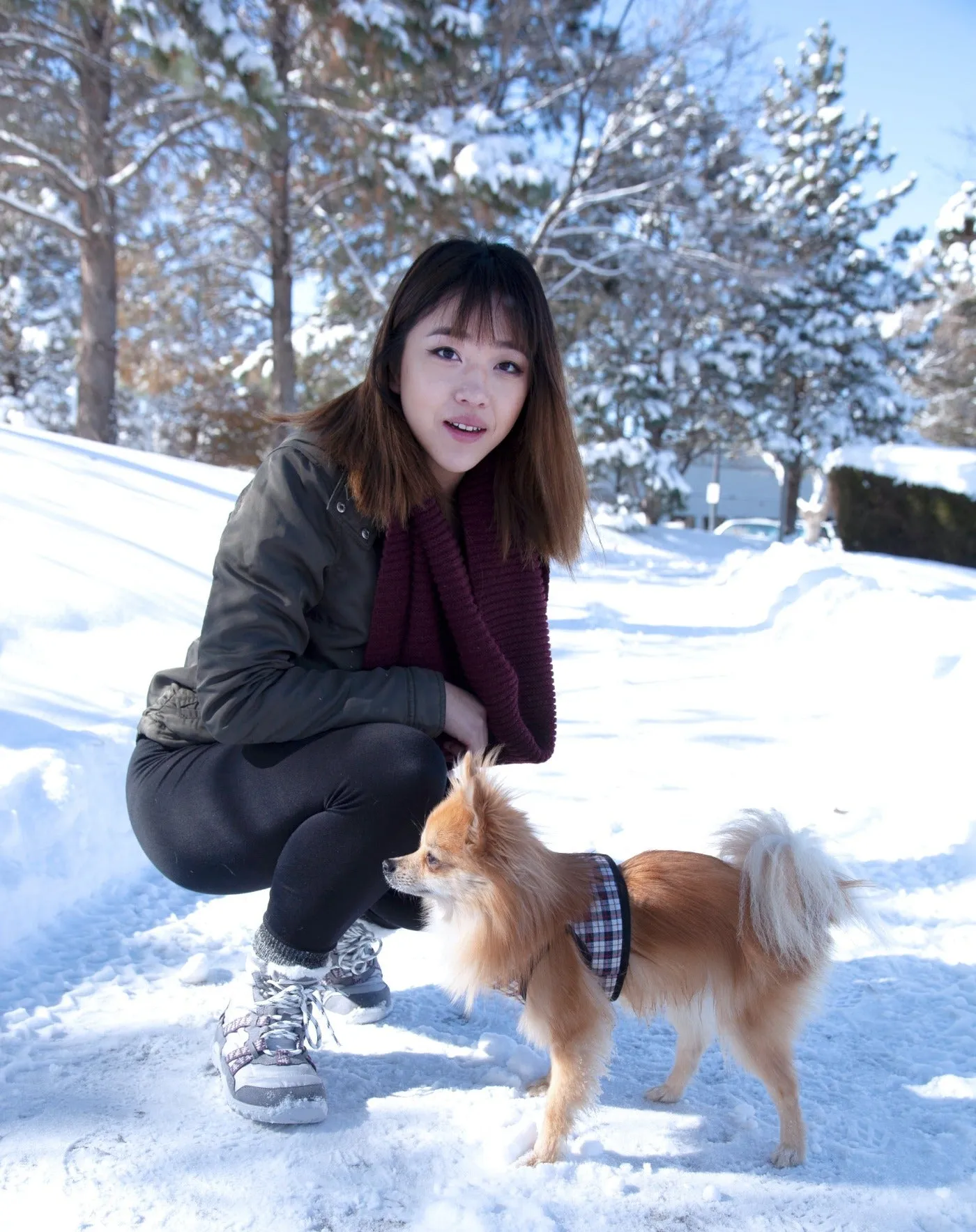Xero Alpine Waterproof Minimalist Snow Boot in Women's